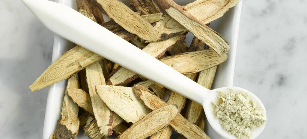 Astragalus: 15 Health Benefits You Should Know