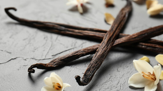 Vanilla Powder 101: Nutrition, Benefits, How To Use, Buy, Store | Vanilla Powder: A Complete Guide