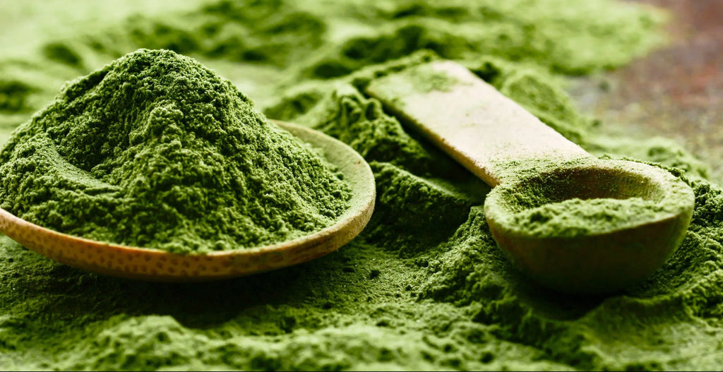 Benefits of Matcha Grade A6